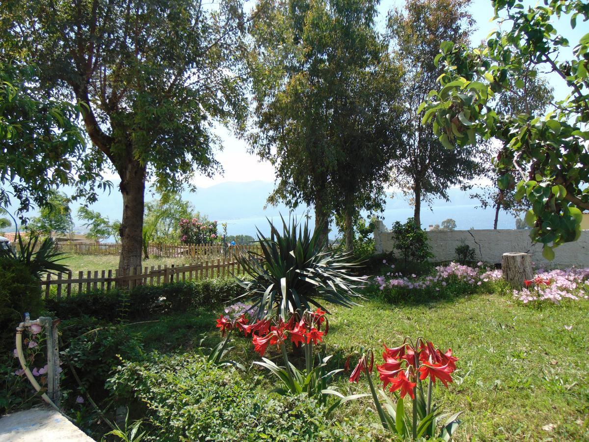 Residence Jazoj Vlorë Buitenkant foto